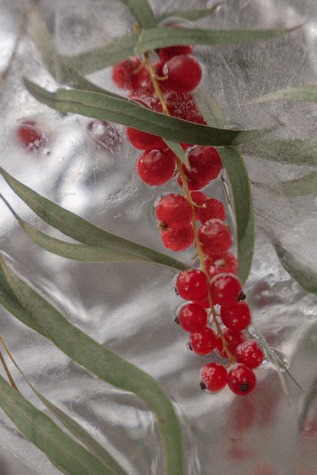 Northern Current Candle