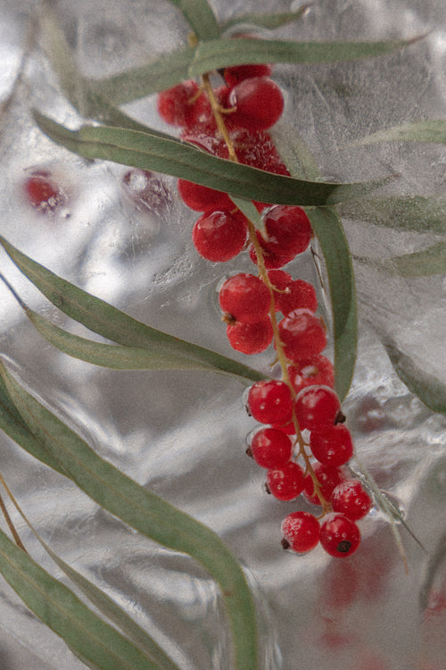 Northern Current Candle